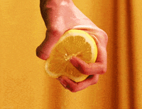 Lemon Stealing Ho